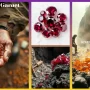 Spessartite Garnet, Spessartite Garnet gemstone, Spessartite garnets Spessartite stones