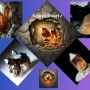 Smoky Quartz, Smoky Quartz gemstone, smoky gemstones, untreated smoky gemstones