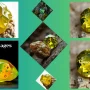 Sphene gem images, Sphene gem, untreated Sphene, uncut sphene
