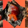 carnelian stone, carnelian crystal, carnelian gemstone, carnelian