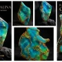 opalina, common opal , opal crystals, opal shapes, opal stones